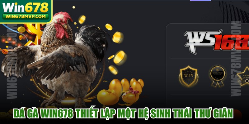 Đá gà WIN678 thiết lập một hệ sinh thái thư giãn an toàn