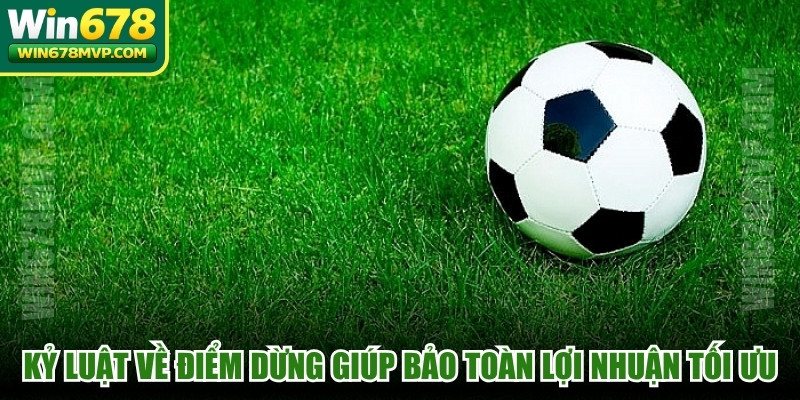 Kỷ luật về điểm dừng giúp bạn bảo toàn lợi nhuận tối ưu