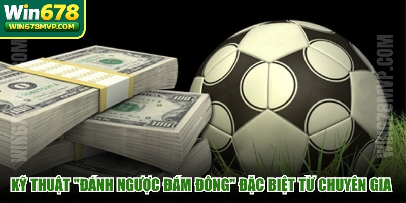 Kỹ thuật "đánh ngược đám đông" đặc biệt từ chuyên gia chia sẻ