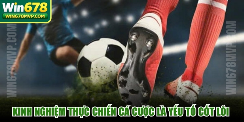 Kinh nghiệm thực chiến cá cược là yếu tố cốt lõi rất quan trọng