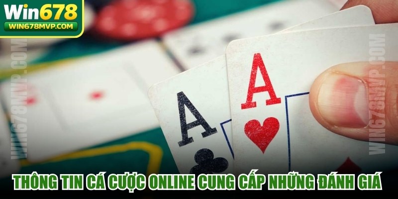 Thông tin cá cược online cung cấp những đánh giá chính xác nhất