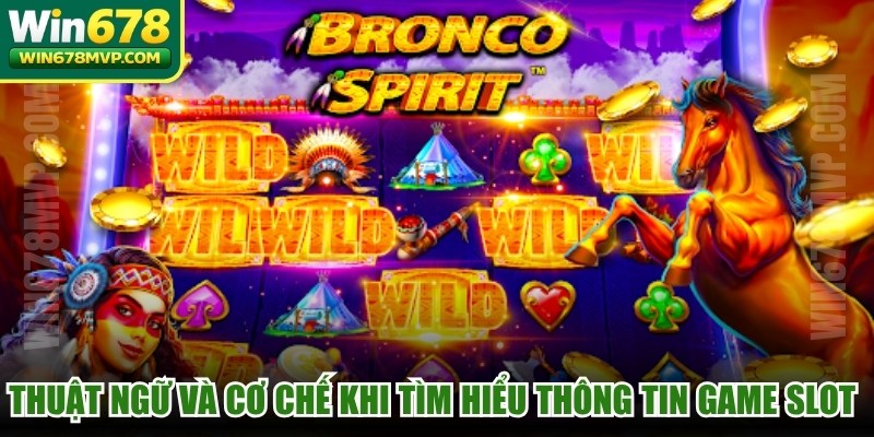 Thuật ngữ và cơ chế khi tìm hiểu thông tin game slot quốc tế